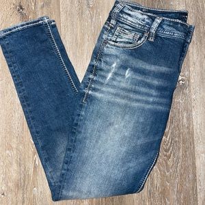 Silver Jeans Co Skinny